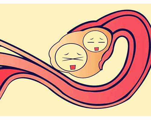 胚胎解冻移植的人工周期涉及哪些步骤？多久？