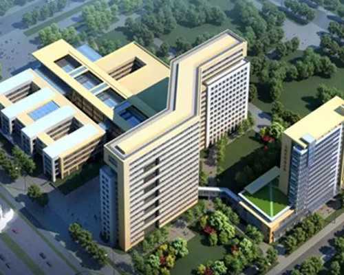 试管囊胚等级2cc成功率(囊胚2级成功率高吗)