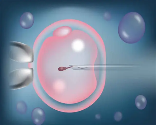 试管代孕双胞胎好不好,子宫内膜偏薄做试管能成功吗，价格构成介绍！