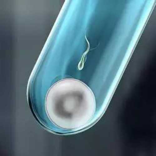 浙江可以做试管代孕的医院比较新排名,如何避免失败