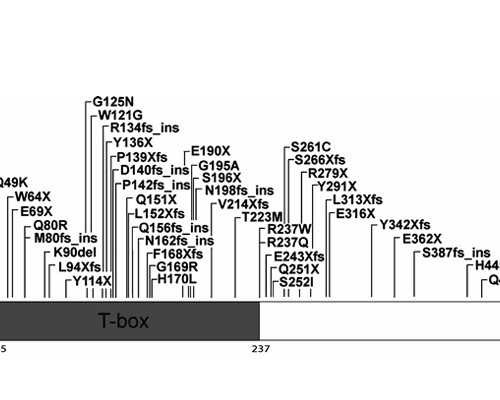 代妈公司咨询_正规供卵代孕公司,试管婴儿备孕期间饮食有讲究(吃这些食物对