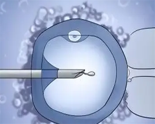 原来胚胎移植后的14天，这些信号预示着床成功