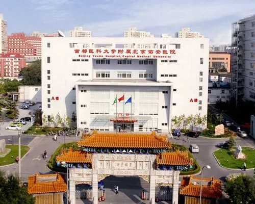 
              三代供卵代生婴儿男女双方前期检查费用得多少钱？
            