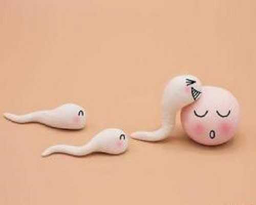 
              供卵代生婴儿多次失败是女性卵巢异常还是男性精子质量差？
    